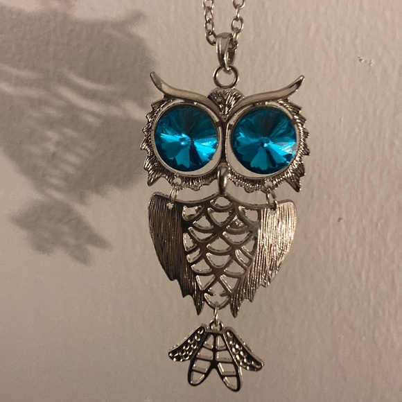 Brand New in Box Absolutely Gorgeous Infinity Slip On Blue Eyes Owl Necklace - Picture 12 of 17